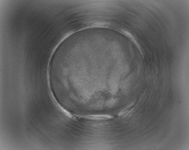 X0000069801235200606021431