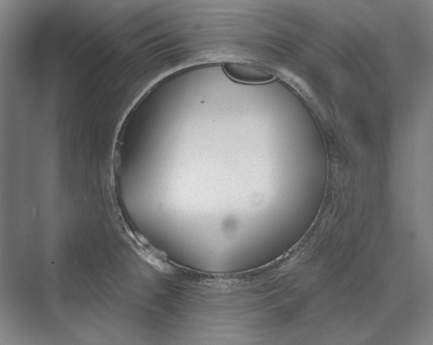 X0000069801236200606021431