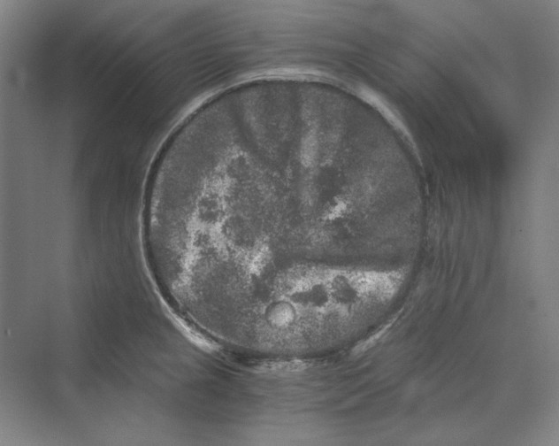 X0000069801237200606021431