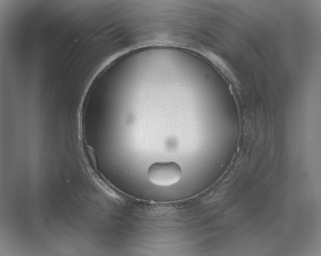 X0000069801238200606021431