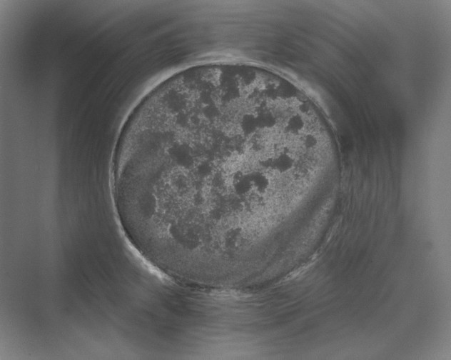 X0000069801239200606021431