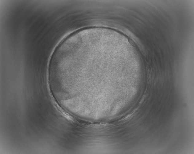 X0000069801240200606021431