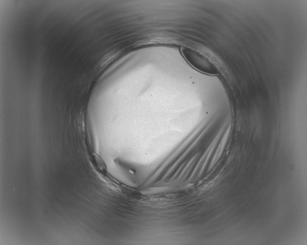 X0000069801241200606021431