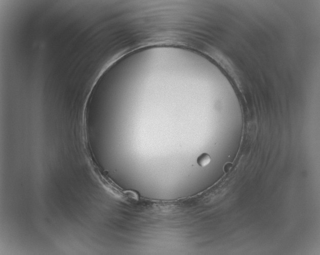 X0000069801242200606021431