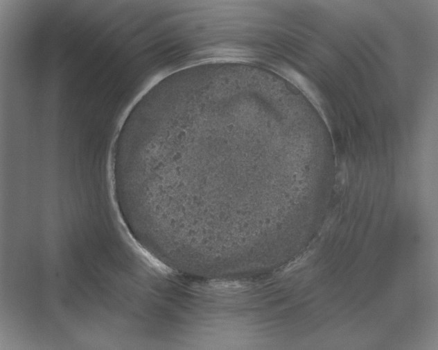 X0000069801243200606021431