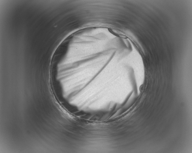 X0000069801244200606021431