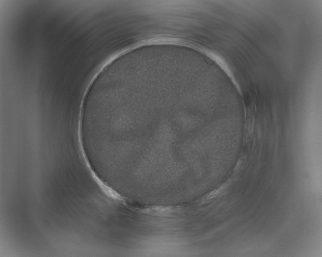 X0000069801245200606021431