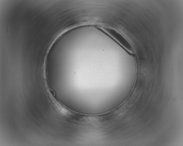 X0000069801246200606021431