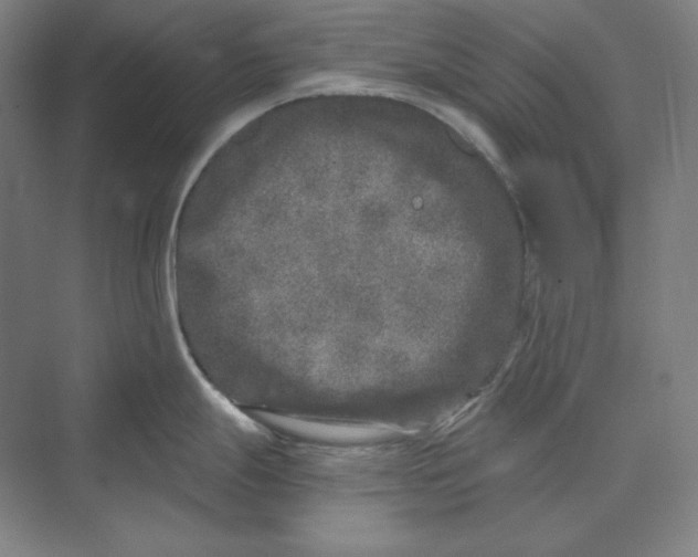 X0000069801247200606021431