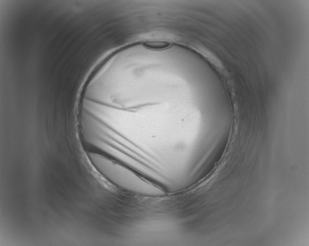 X0000069801248200606021431