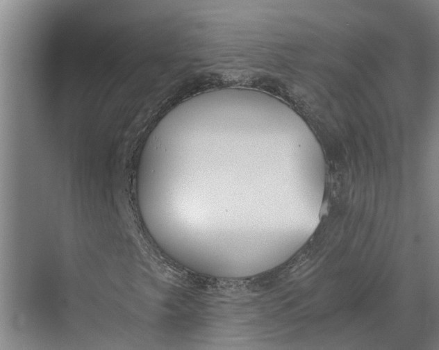 X0000069801249200606021430