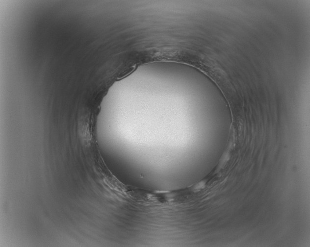 X0000069801250200606021430