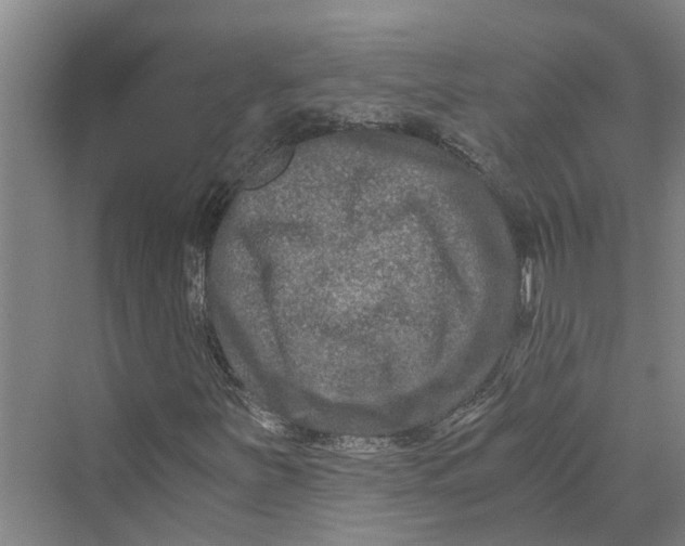 X0000069801251200606021430