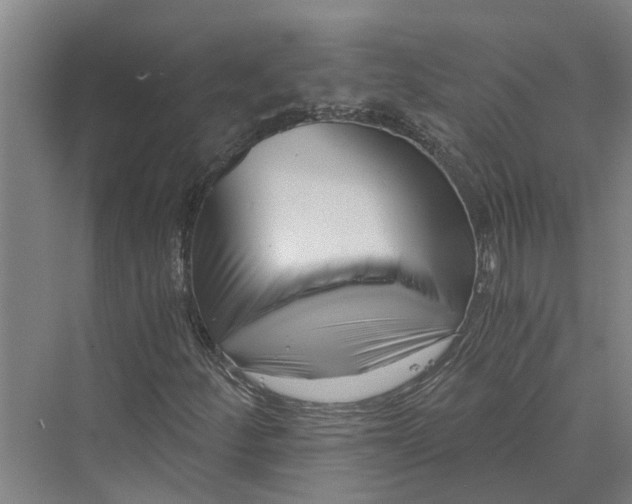 X0000069801252200606021430