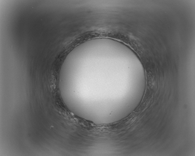 X0000069801253200606021430