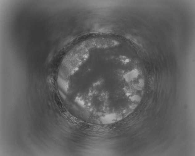 X0000069801254200606021430