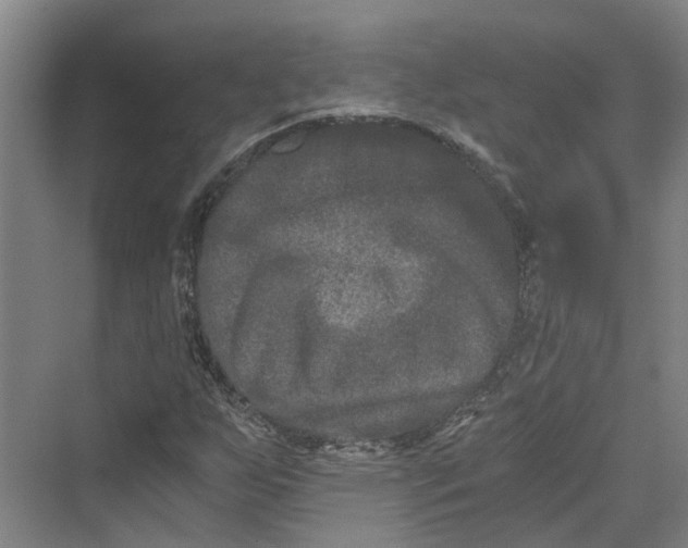 X0000069801255200606021430