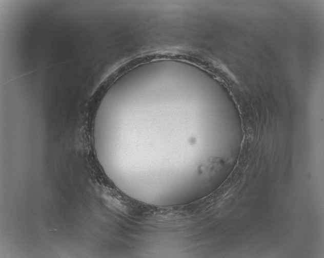 X0000069801256200606021430