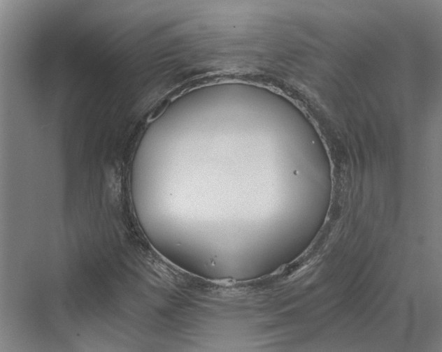 X0000069801257200606021430