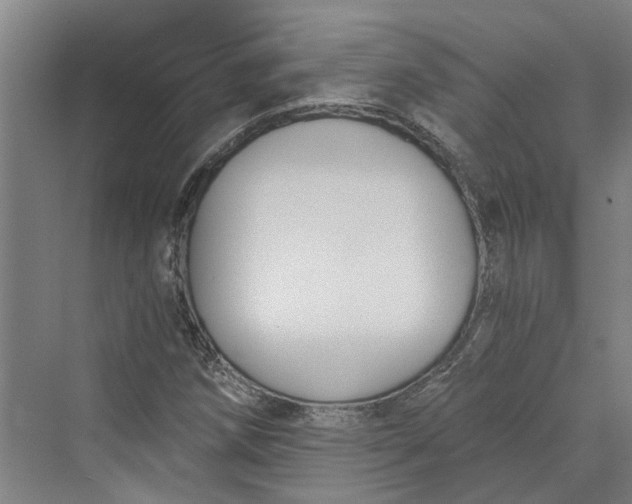 X0000069801258200606021430