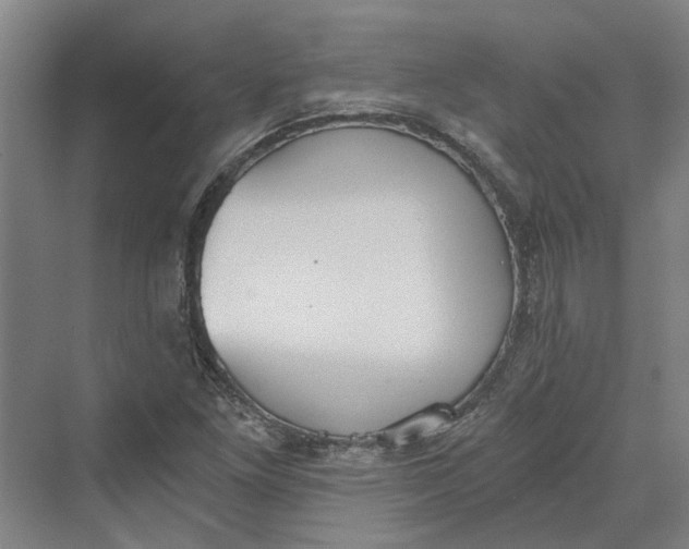 X0000069801261200606021430