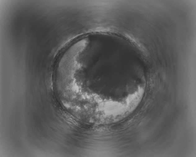 X0000069801262200606021430