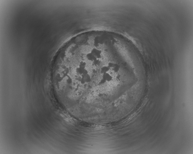 X0000069801263200606021430