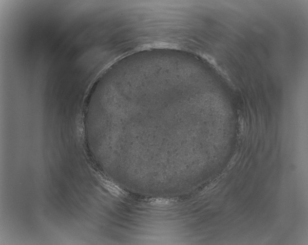 X0000069801266200606021430