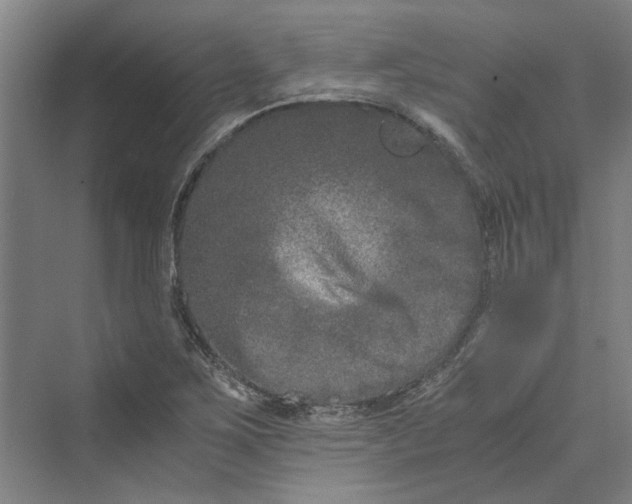 X0000069801267200606021430