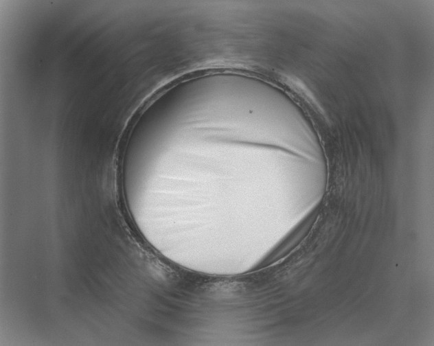 X0000069801268200606021430