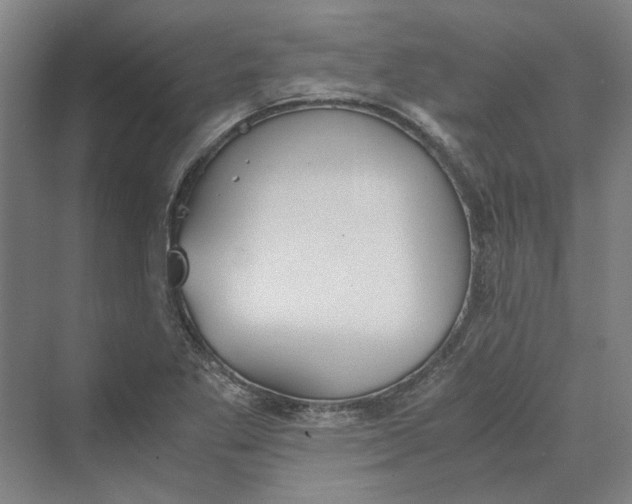 X0000069801269200606021430