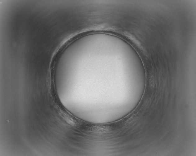 X0000069801270200606021430