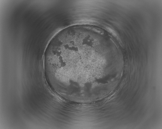 X0000069801275200606021430