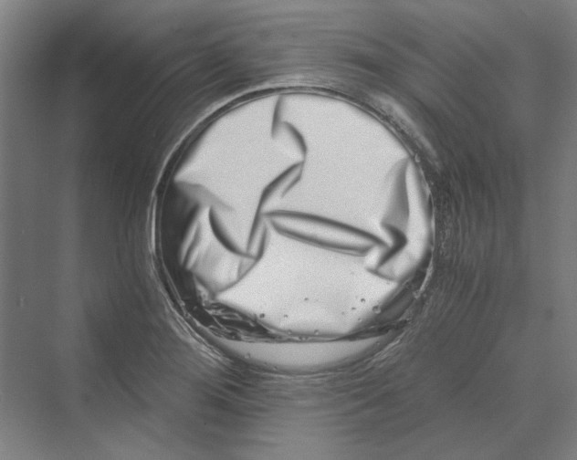 X0000069801276200606021430