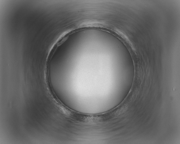 X0000069801277200606021430