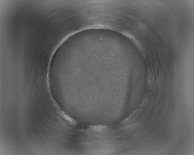 X0000069801278200606021430