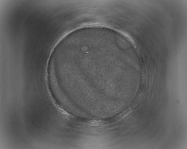 X0000069801279200606021430