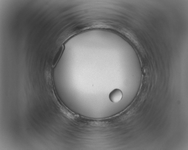 X0000069801281200606021430