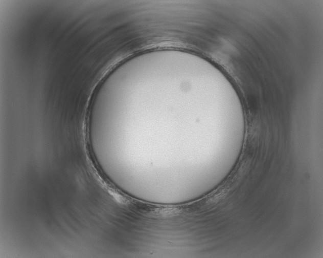 X0000069801282200606021430