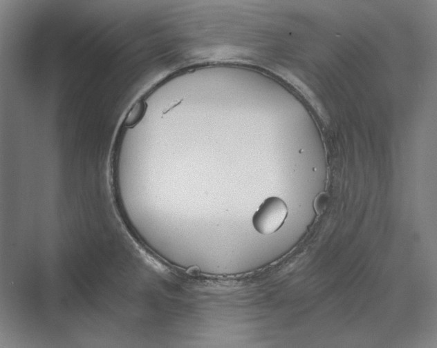 X0000069801285200606021429