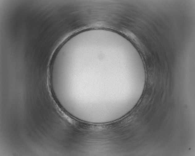 X0000069801286200606021429