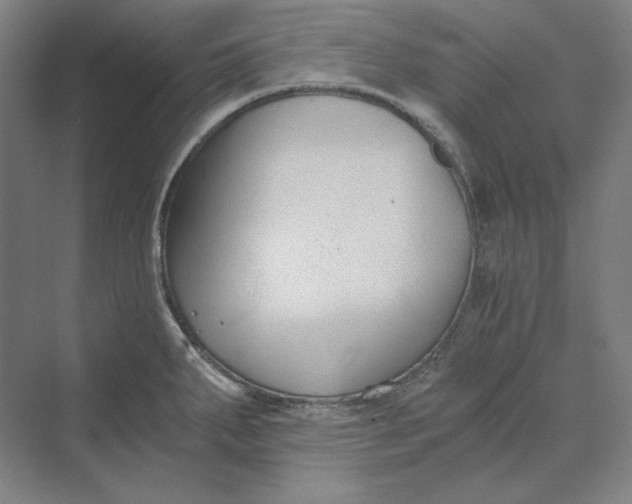 X0000069801287200606021429