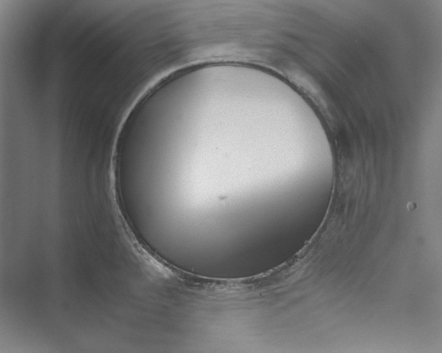 X0000069801288200606021429