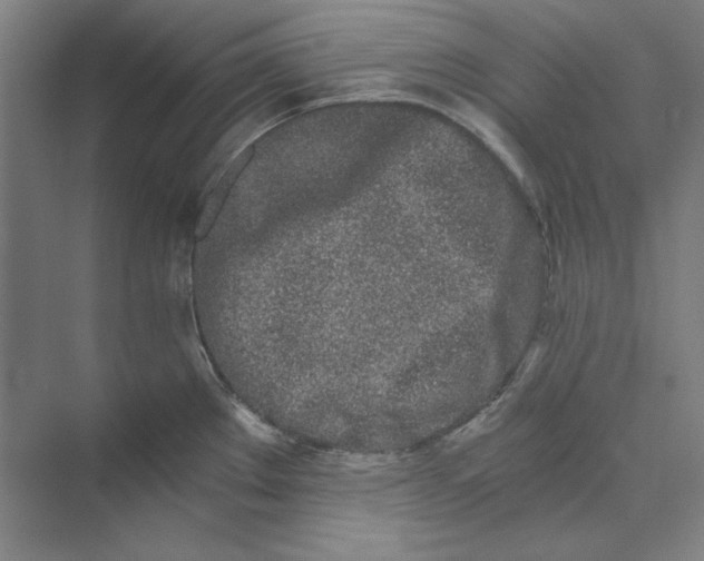 X0000069801289200606021429