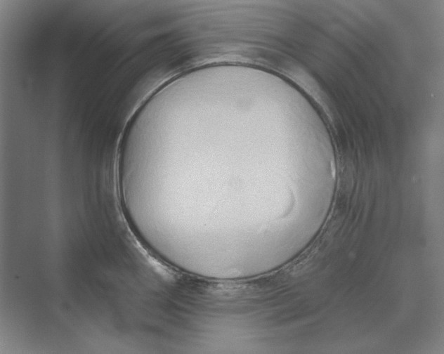 X0000069801290200606021429