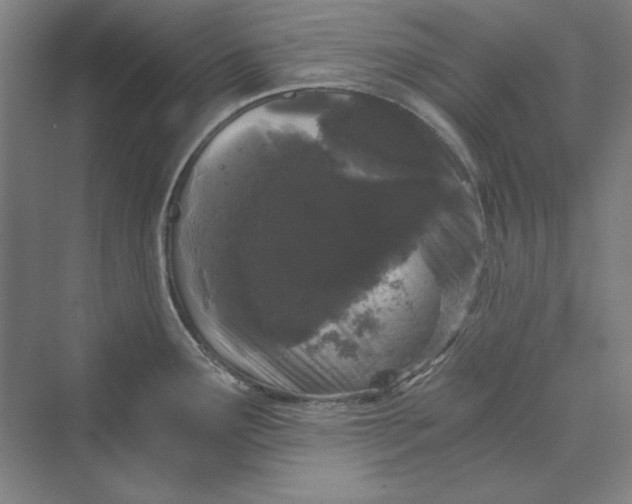 X0000069801291200606021429