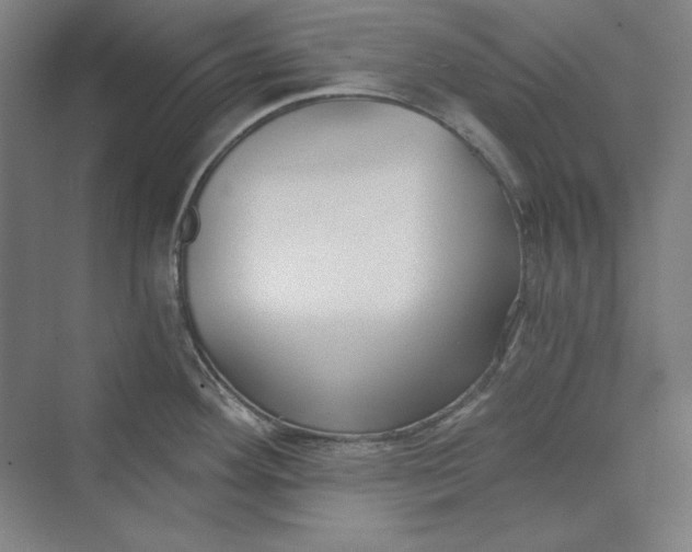 X0000069801292200606021429