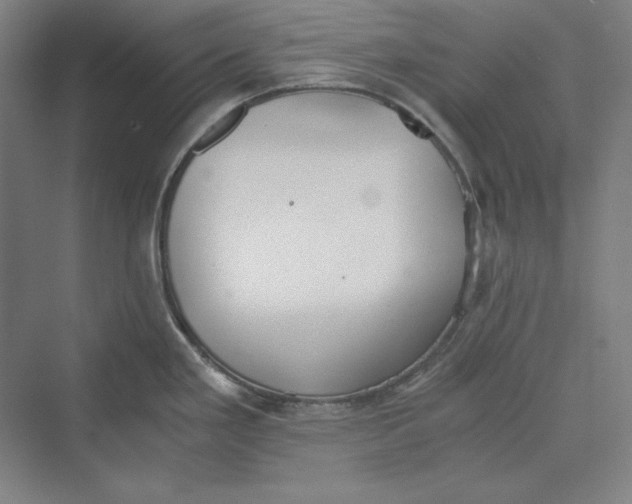 X0000069801293200606021429