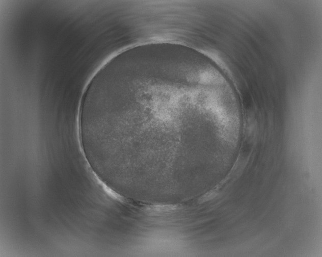 X0000069801294200606021429