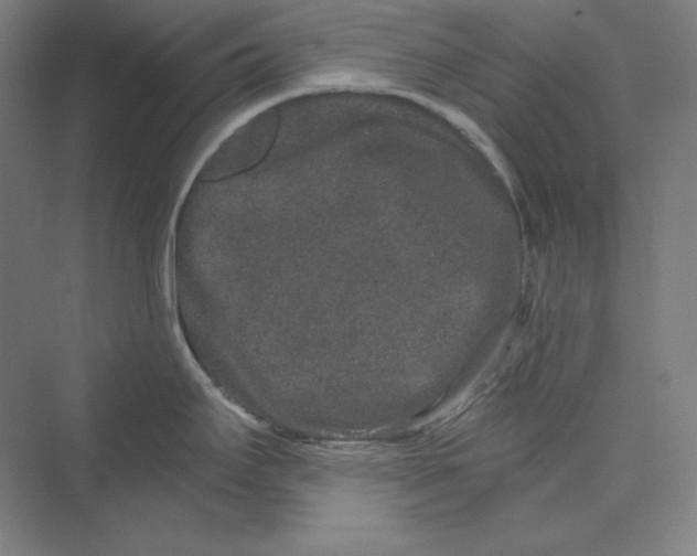 X0000069801295200606021429